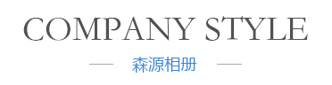 森源简介